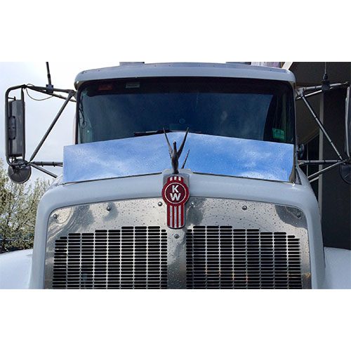 kenworth t600 bug deflector