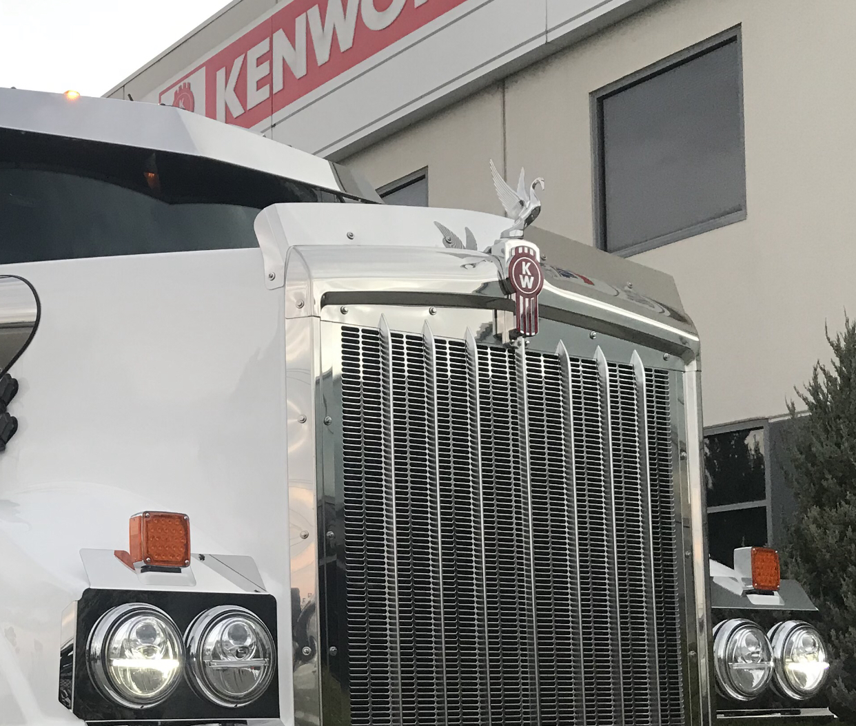 kenworth bug deflector