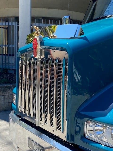 Stainless Steel Bug Deflector To Suit Kenworth T359 T360
