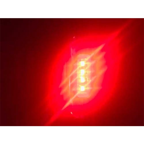 LED Multi-Volt Red Flush Mount with Stainless Steel Trim