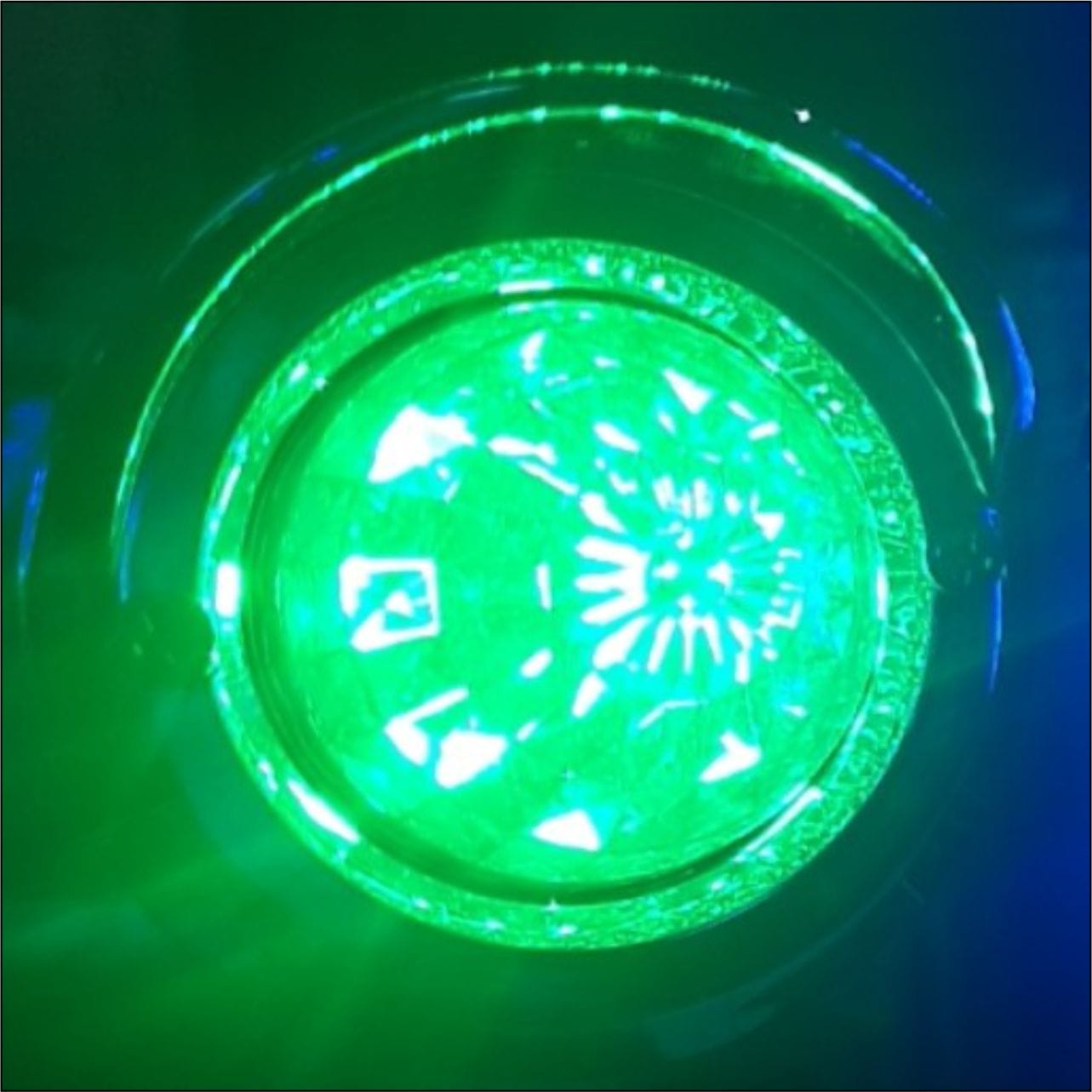 LED Light Torpedo Clear/Amber/Green