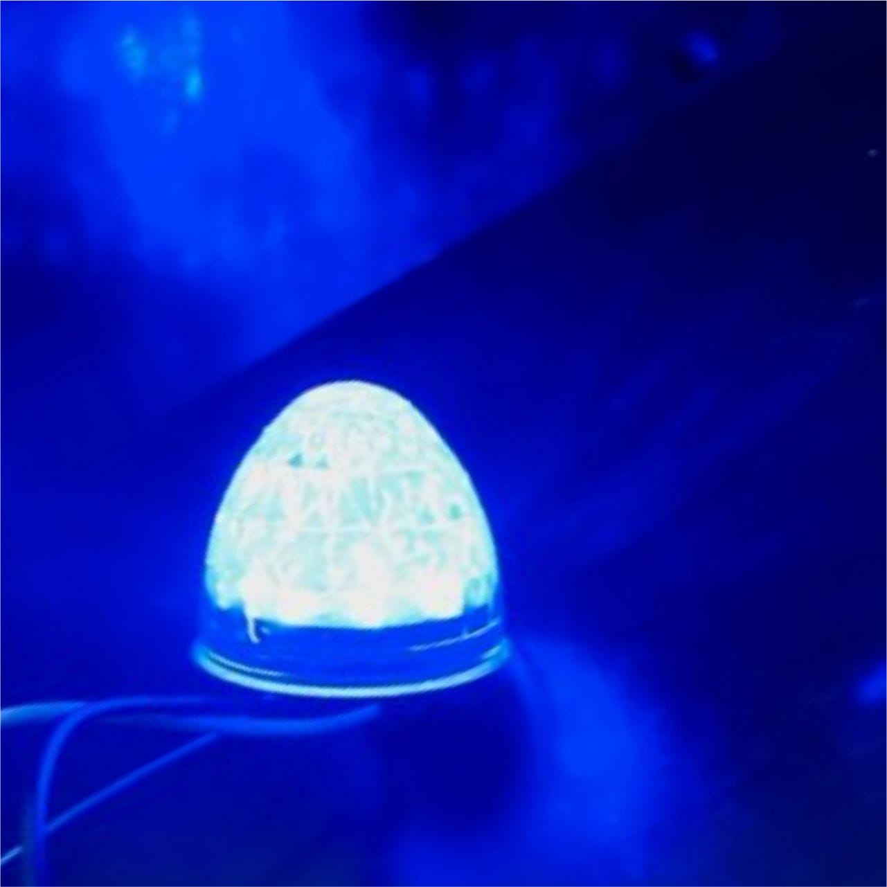 LED Light Torpedo Clear/Amber/Blue