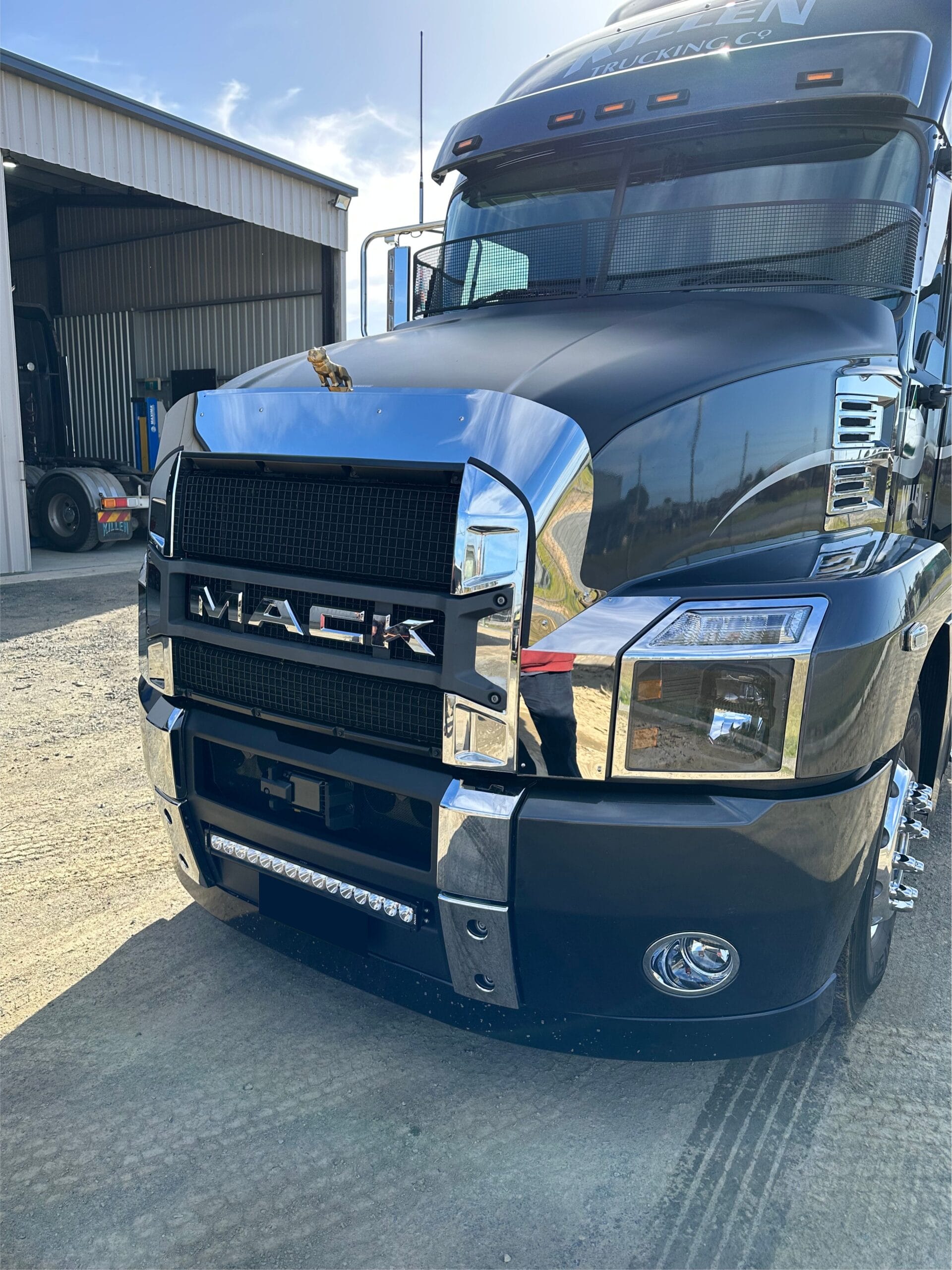 Stainless Steel Bug Deflector With Extended Sides To Suit Mack Anthem