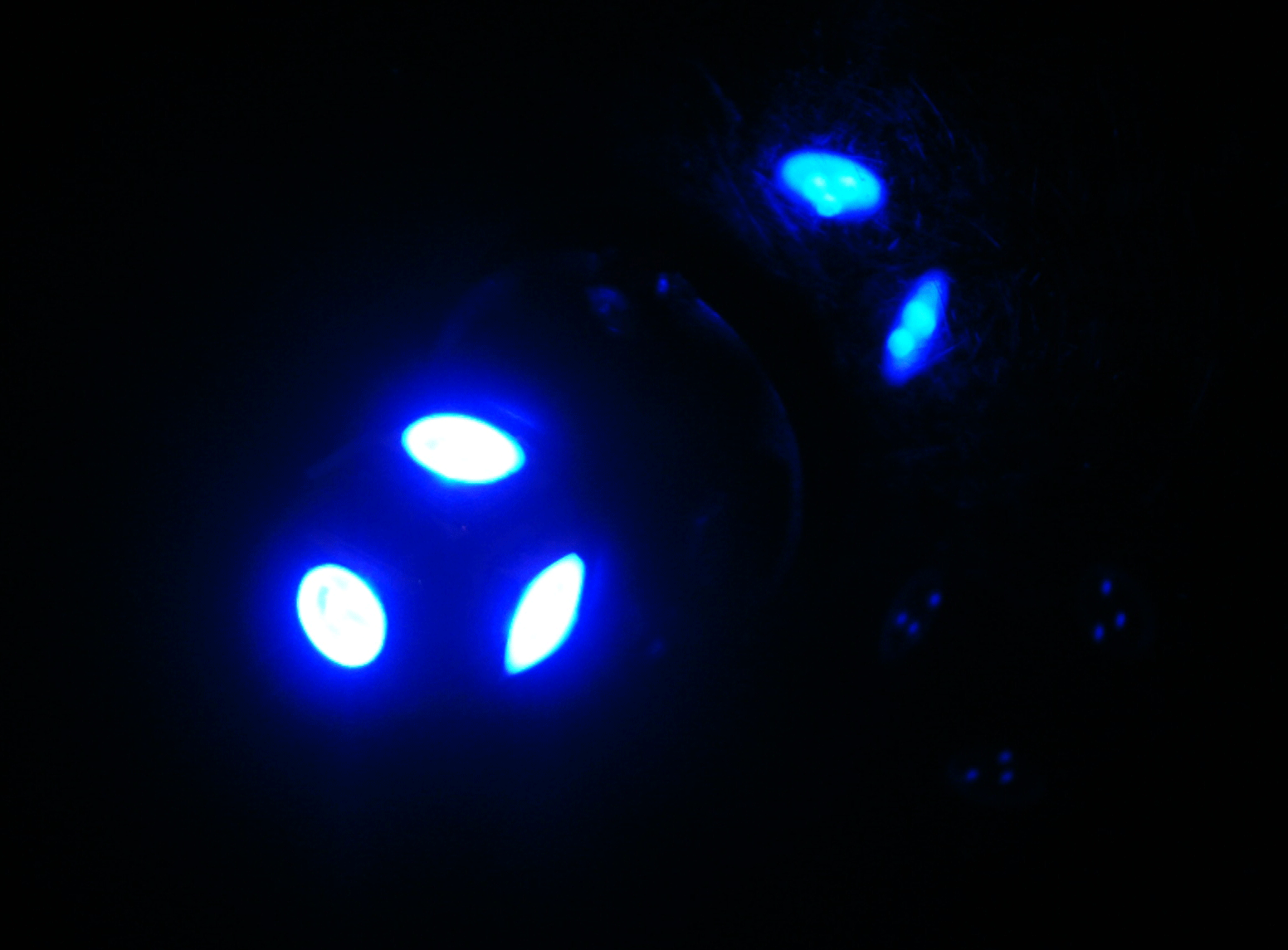 LED Globe 12 Volt T10 Wedge Multi Directional Blue Pair