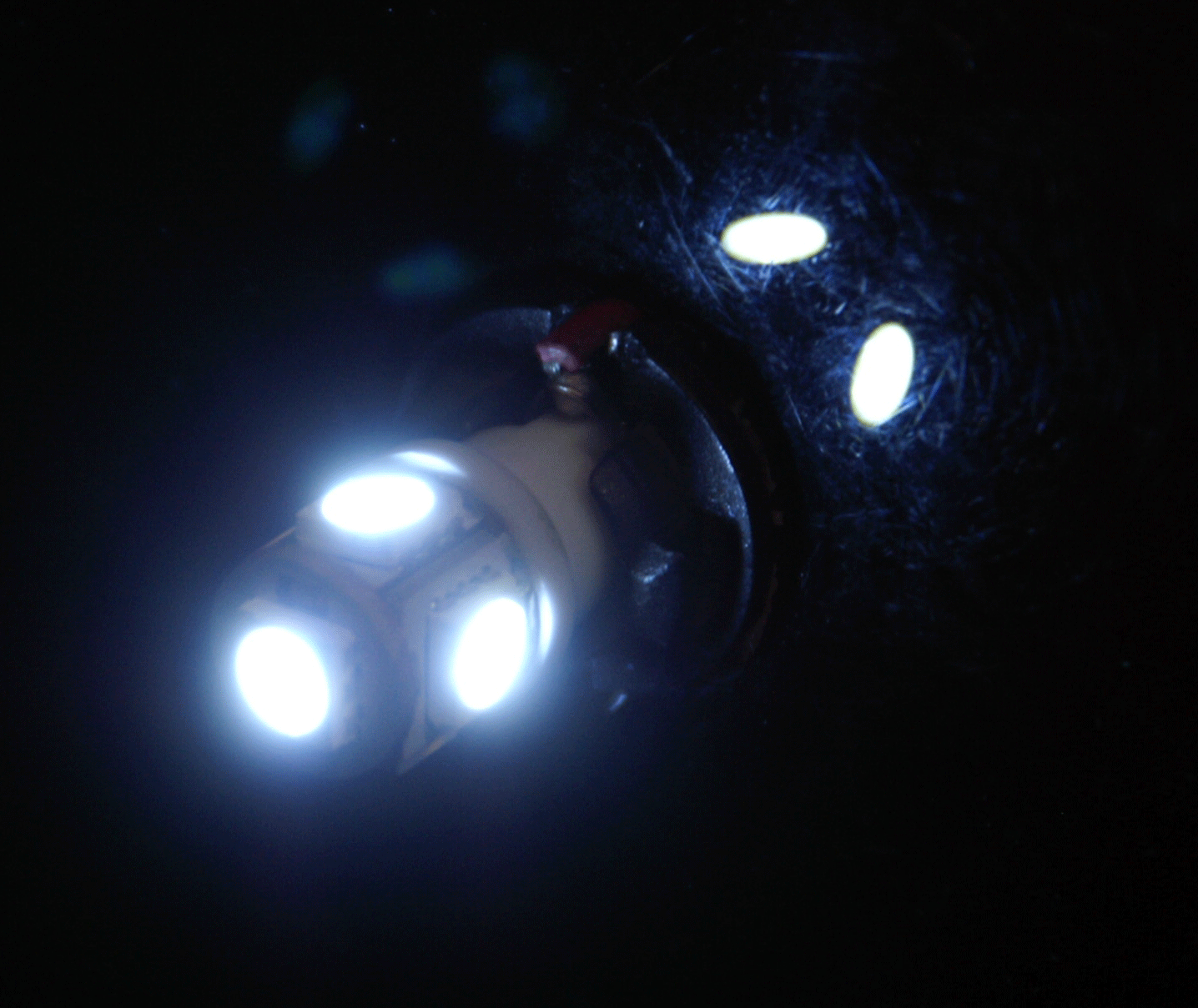 LED Globe 12 Volt T10 Wedge Multi Directional Clear Pair
