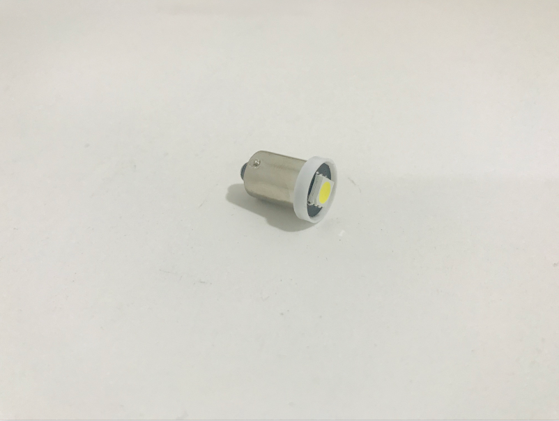 LED Globe 12 Volt Bayonet Clear