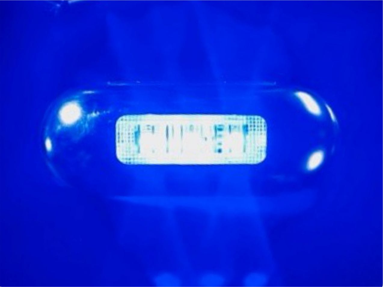 LED Multi-Volt Clear/Red/Blue Flush Mount with Stainless Steel Trim