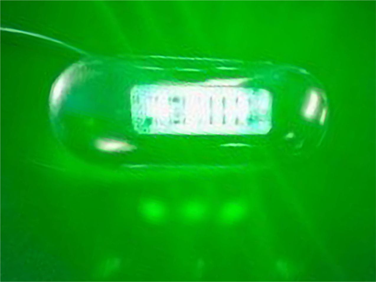 LED Multi-Volt Clear/Amber/Green Flush Mount with Stainless Steel Trim