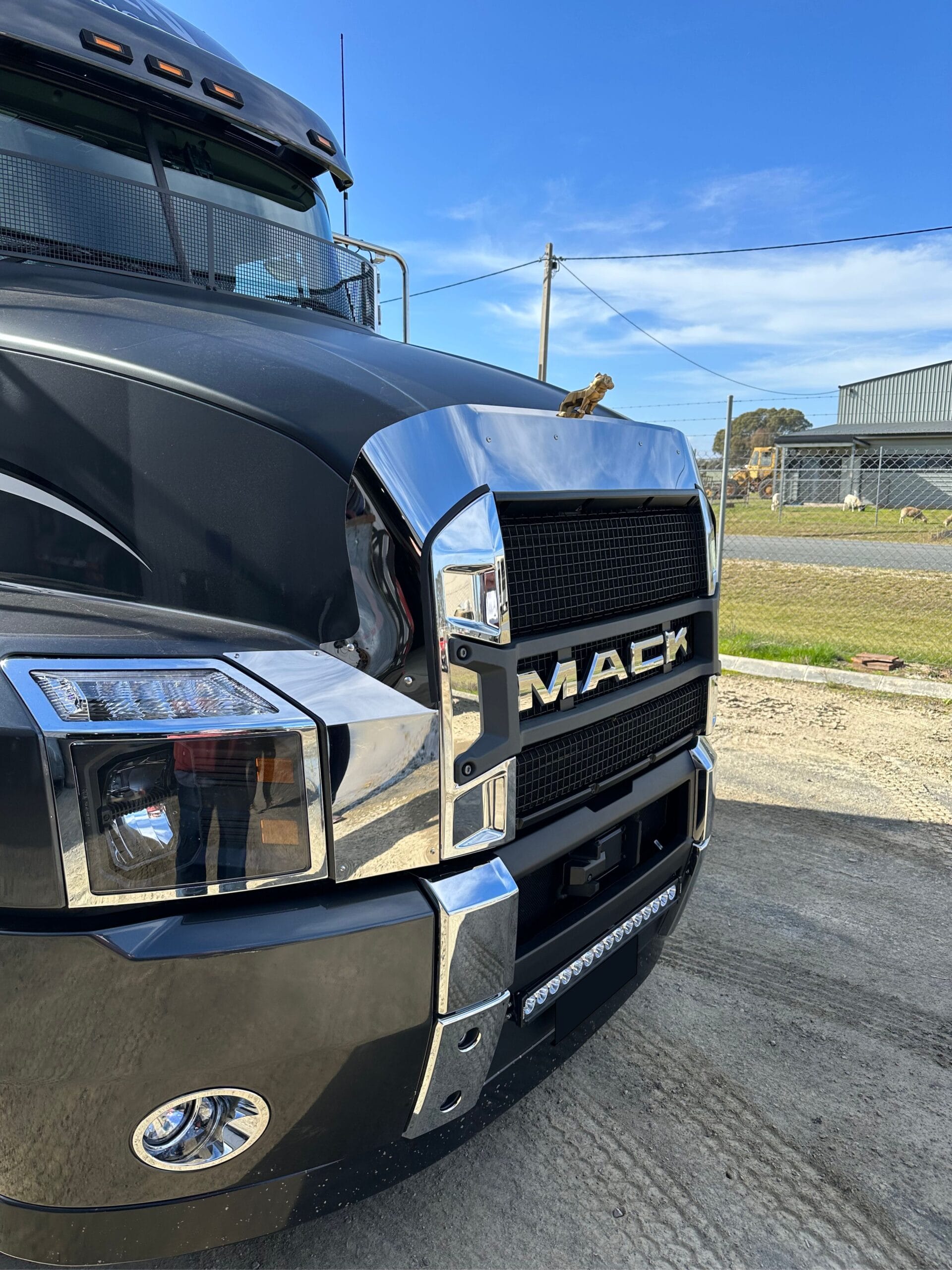 Stainless Steel Bug Deflector With Extended Sides To Suit Mack Anthem