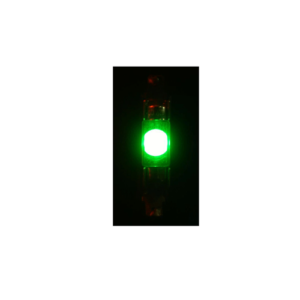 LED Festoon Pair Green 12 volt truck festoon globes