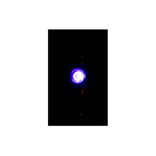 LED 12 Volt Festoon Pair Purple